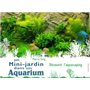 Un mini jardin dans un aquarium