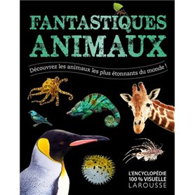 Fantastiques Animaux