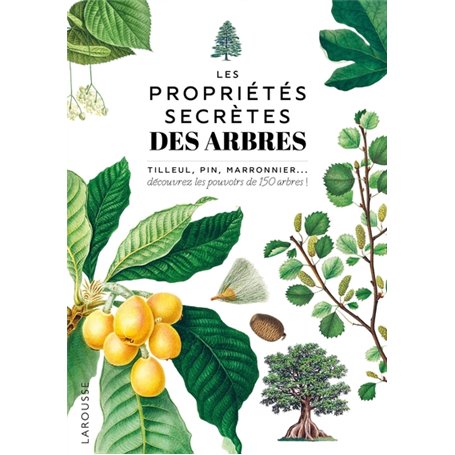 Les propriétés secrètes des arbres