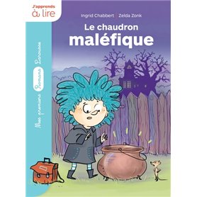 Un sorcier à l'école : Le chaudron maléfique