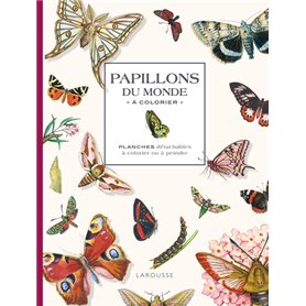 Papillons du monde à colorier