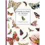 Papillons du monde à colorier