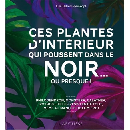 Ces plantes d'intérieur qui poussent dans le noir... ou presque !