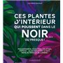 Ces plantes d'intérieur qui poussent dans le noir... ou presque !