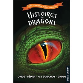 Histoires de dragons