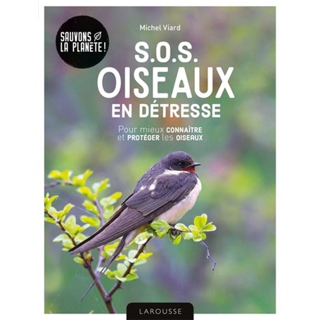 SOS oiseaux en détresse