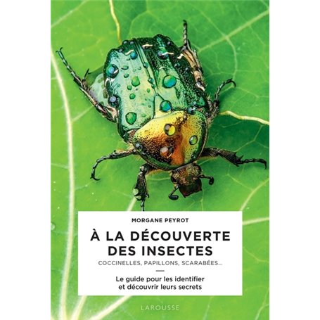 A la découverte des insectes