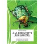 A la découverte des insectes