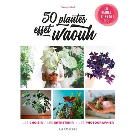 50 plantes effet waouh