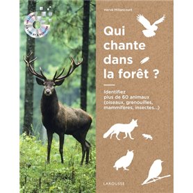 Ecoutons la forêt !