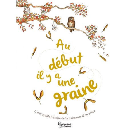 Au début il y a une graine