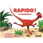 Rapido le Coelophysis