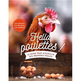 Hello poulettes ! Le guide pour accueillir ses premières poules