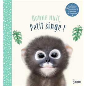 Bonne nuit petit singe