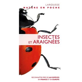 Insectes et araignées