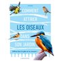 Comment attirer les oiseaux dans son jardin