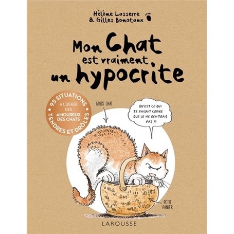 Mon chat est vraiment un hypocrite