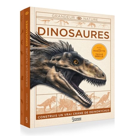 Dinosaures