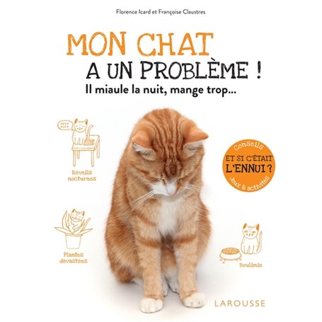 Mon chat a un problème !