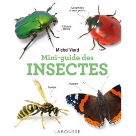 Mini-guide des insectes