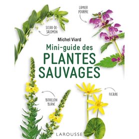 Mini-guide des plantes sauvages