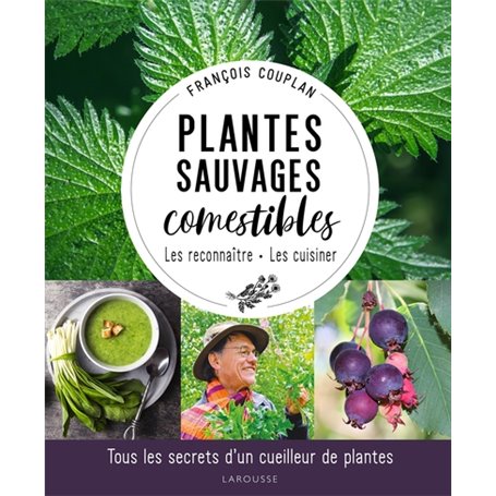 Plantes sauvages comestibles