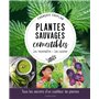 Plantes sauvages comestibles