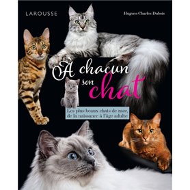 A chacun son chat