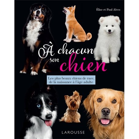 A chacun son chien