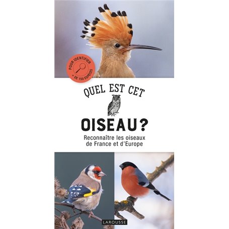 Quel est cet oiseau ?