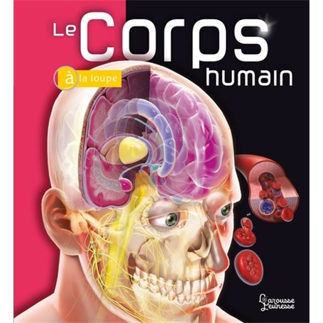 Le Corps humain