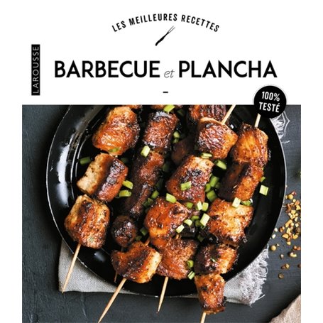 Barbecue et plancha