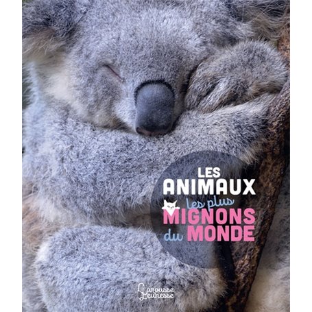 Les animaux les plus mignons du monde