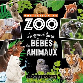 Une saison au zoo Le grand livre des bébés animaux