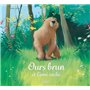 Ours Brun et l'ami caché