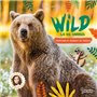 Wild : La vie sauvage