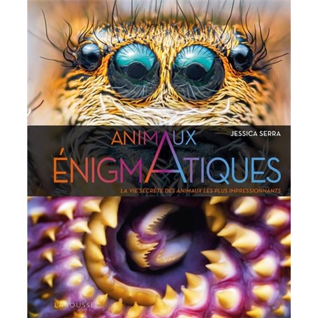 Enigmatiques - La vie secrète des animaux les plus impressionnants