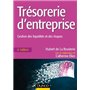 Trésorerie d'entreprise - 4e éd. - Gestion des liquidités et des risques