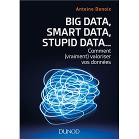 Big Data, Smart Data, Stupid Data... comment (vraiment) valoriser vos données