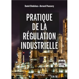 Pratique de la régulation industrielle