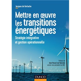 Mettre en oeuvre les transitions énergétiques - Stratégie intégrative et gestion opérationnelle