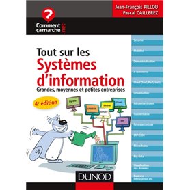 Tout sur les systèmes d'information - 4e éd. - Grandes, moyennes et petites entreprises