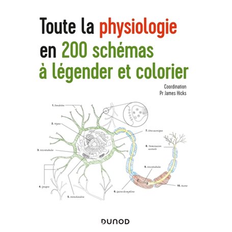 Toute la physiologie en 200 schémas à légender et colorier