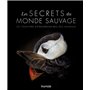 Les secrets du monde sauvage - Les pouvoirs extraordinaires des animaux