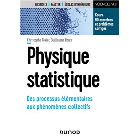 Physique statistique - Des processus élémentaires aux phénomènes collectifs