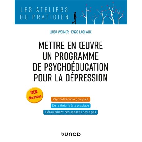 Mettre en oeuvre un programme de psychoéducation pour la dépression