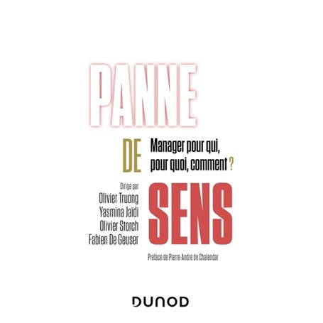 Panne de sens