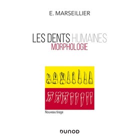 Les dents humaines - Morphologie