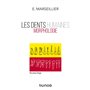 Les dents humaines - Morphologie