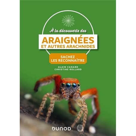 A la découverte des araignées et autres arachnides